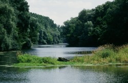 Nationalpark Donauauen